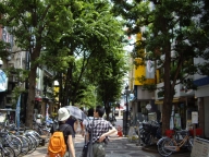 いざ樹モールへ